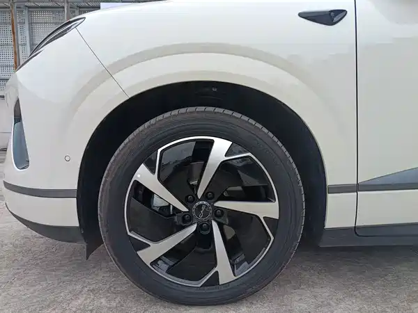BYD Sealion 06 DM-i 2025, фото 6