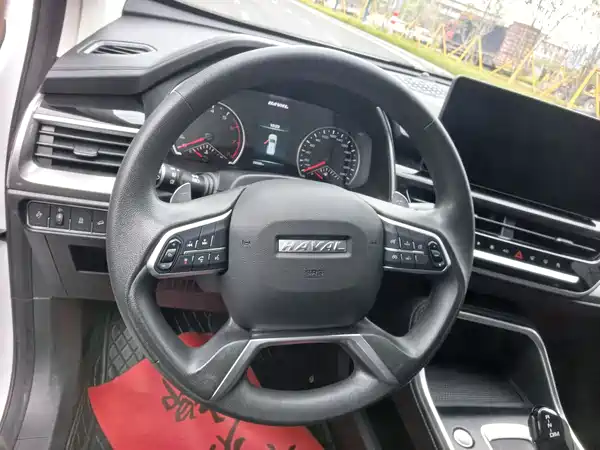 Haval H6 2023, фото 18