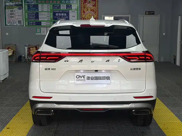 Haval H6 2021, фото 5