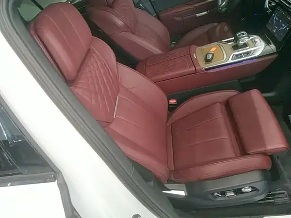 Hongqi E-HS9 2022, фото 25