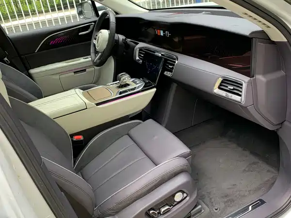 Hongqi E-HS9 2022, фото 15