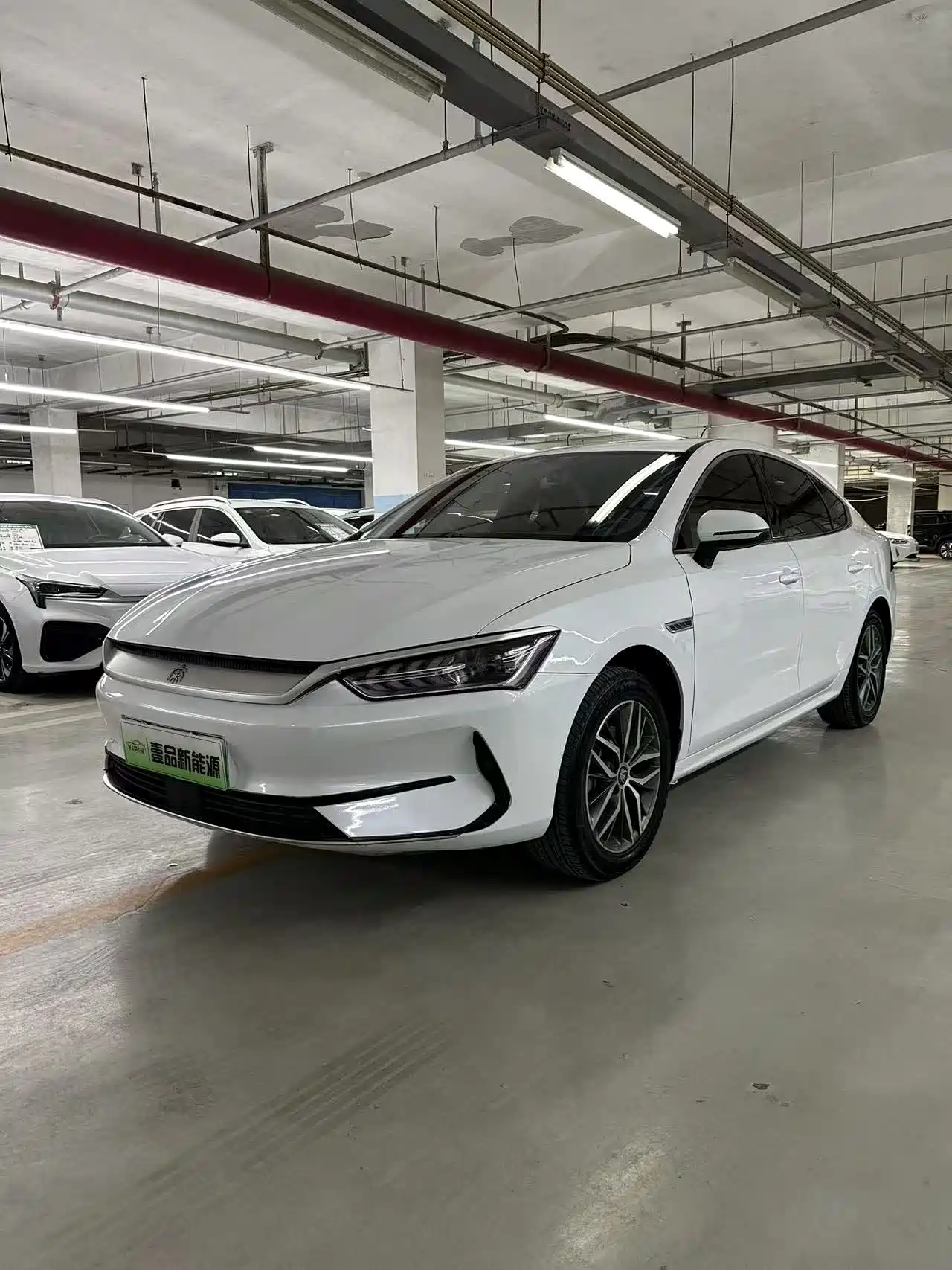  Qin PLUS