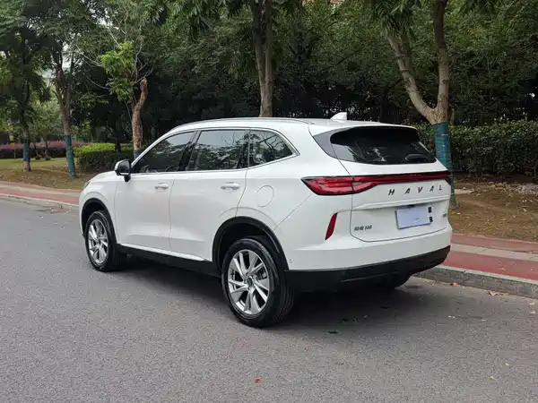 Haval H6 2021, фото 10