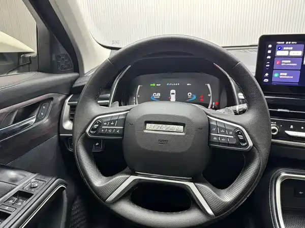 Haval H6 2021, фото 15