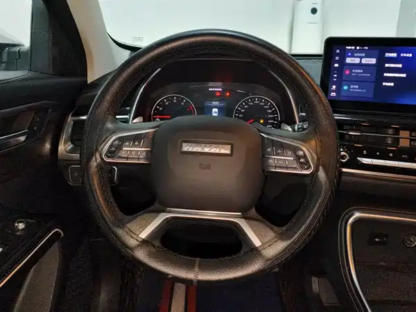 Haval H6 2023, фото 15