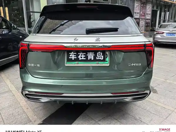 Hongqi E-HS9 2021, фото 17