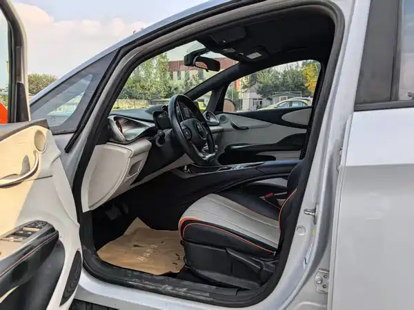 BYD Dolphin 2021, фото 10