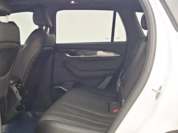 Geely Monjaro 2024, фото 5