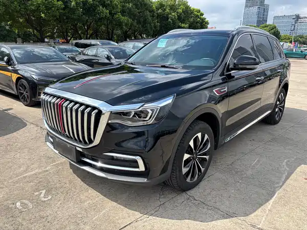 Hongqi HS7 2022
