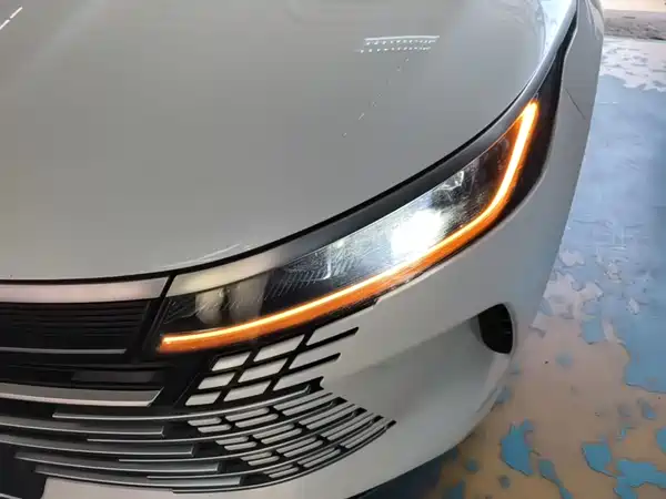 BYD Destroyer 05 2022, фото 23