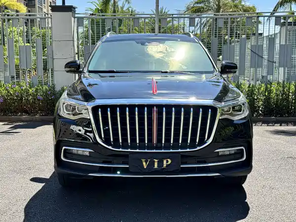 Hongqi HS7 2022, фото 2