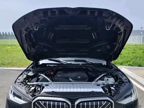 BMW X3 2025, фото 12