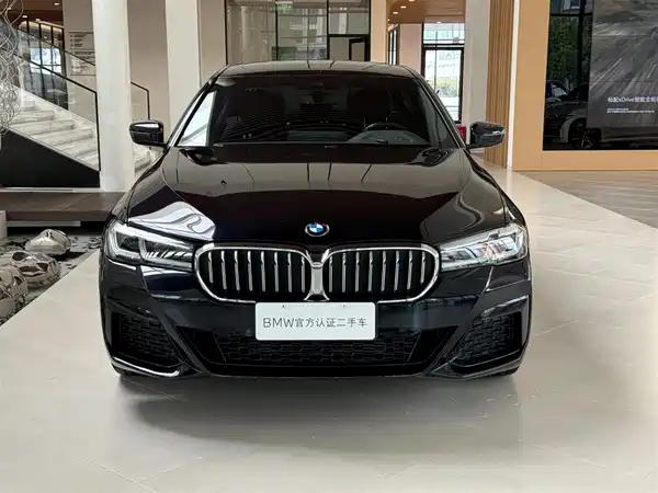 BMW 5 Series 2022, фото 10