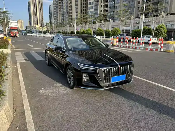 Hongqi H5 2023, фото 3