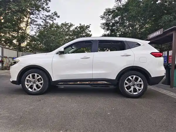 Haval H6 2021, фото 5