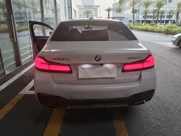 BMW 5 Series 2022, фото 8