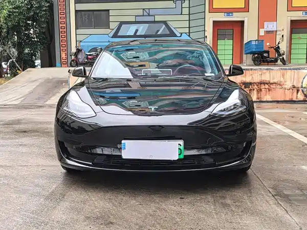 Tesla Model 3 2022, фото 2