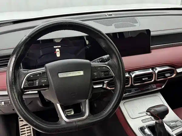 Jetour X70 PLUS 2021, фото 10