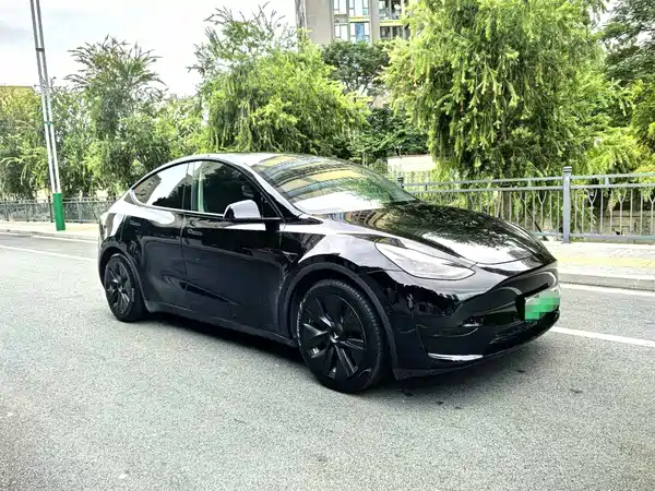 Tesla Model Y 2023, фото 3