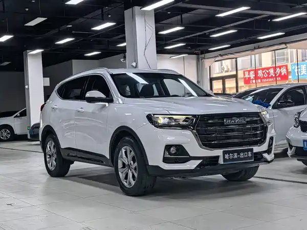 Haval H6 2021, фото 3