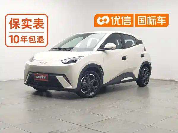 BYD Seagull 2025