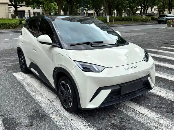 BYD Seagull 2023, фото 3