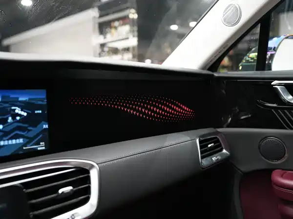 Hongqi E-HS9 2021, фото 15