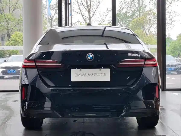 BMW 5 Series 2025, фото 6