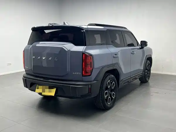 Haval Cool Dog 2022, фото 6