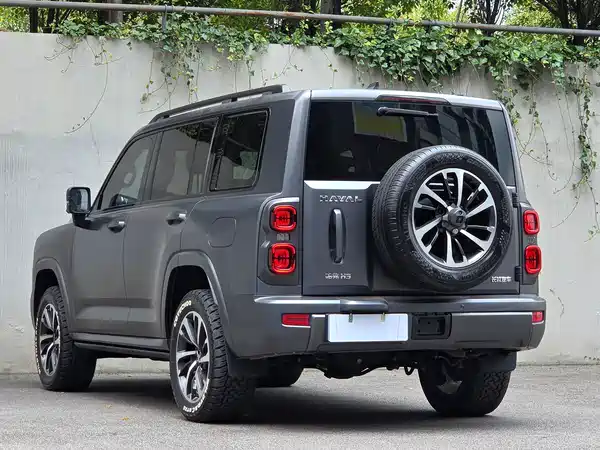 Haval H9 2024, фото 6