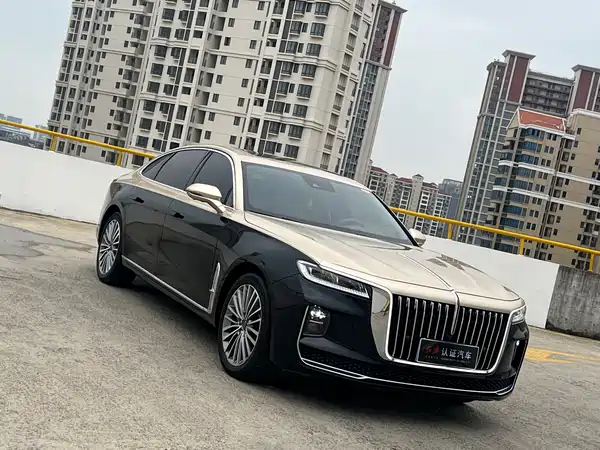 Hongqi H9 2022, фото 12