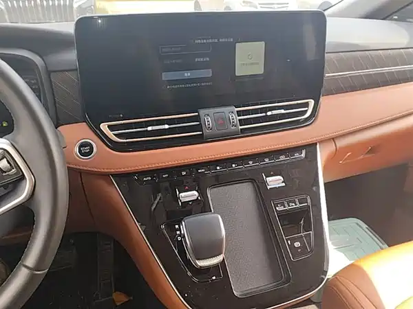 Hongqi HQ9 PHEV 2024, фото 13