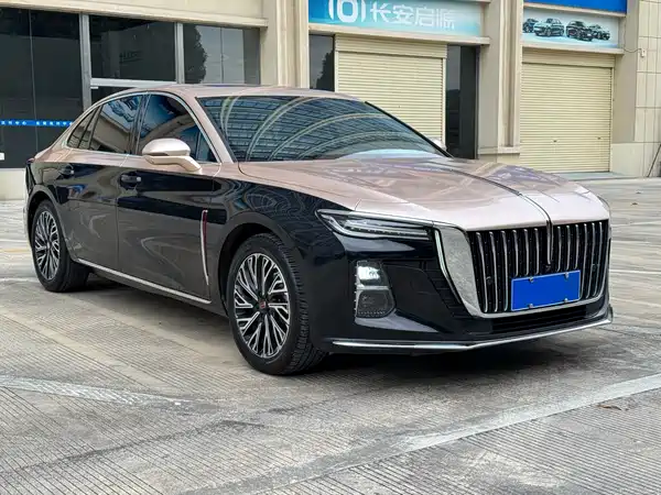Hongqi H5 2023, фото 3