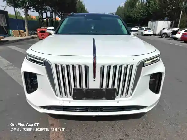 Hongqi E-HS9 2021