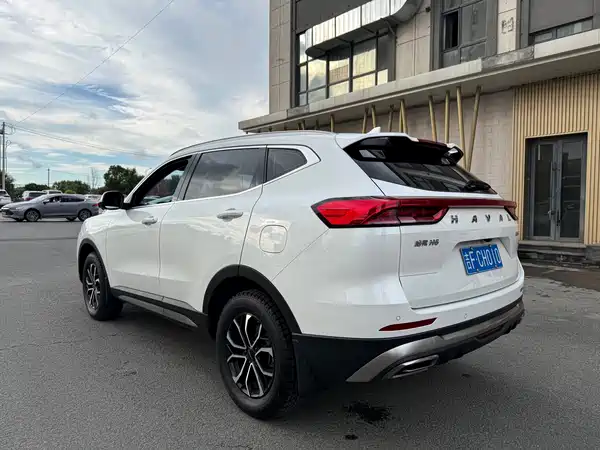 Haval H6 2023, фото 6
