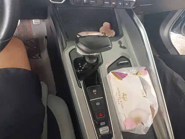 Geely Preface 2021, фото 6