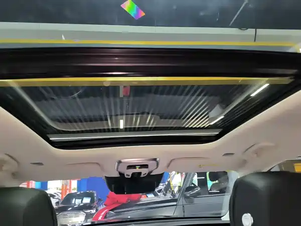 Hongqi E-HS9 2022, фото 18