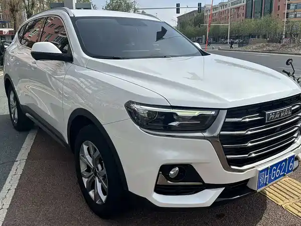 Haval H6 2021, фото 6