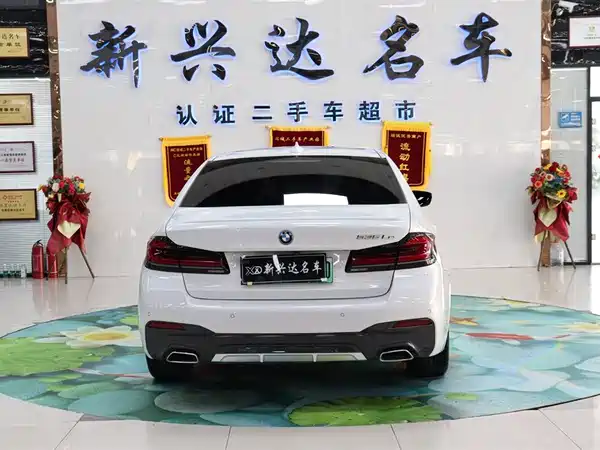BMW 5 Series PHEV 2022, фото 6