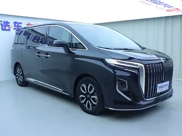 Hongqi HQ9 2023, фото 2