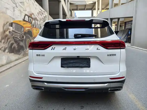 Haval H6 2023, фото 8