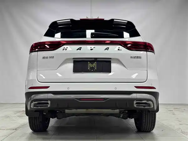 Haval H6 2021, фото 5