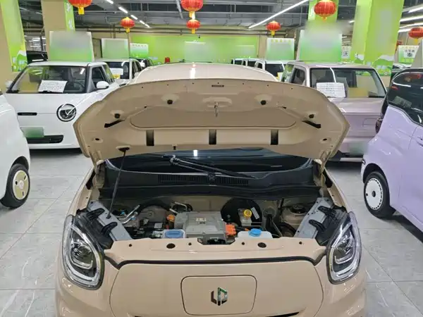 Leapmotor T03 2022, фото 20