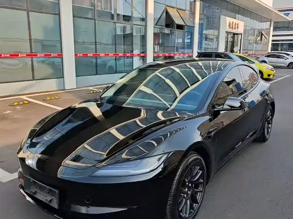 Tesla Model 3 2025