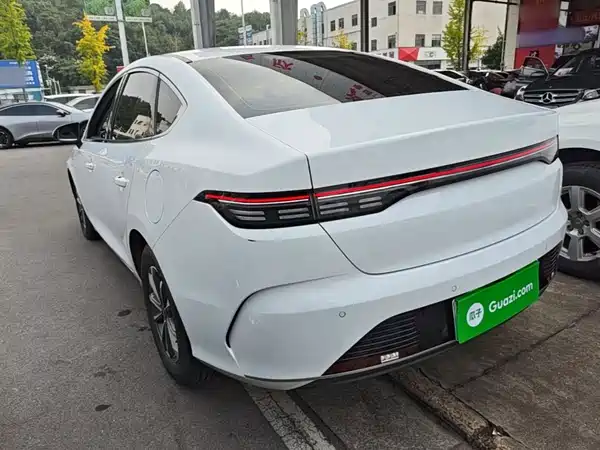 BYD Destroyer 05 2024, фото 4