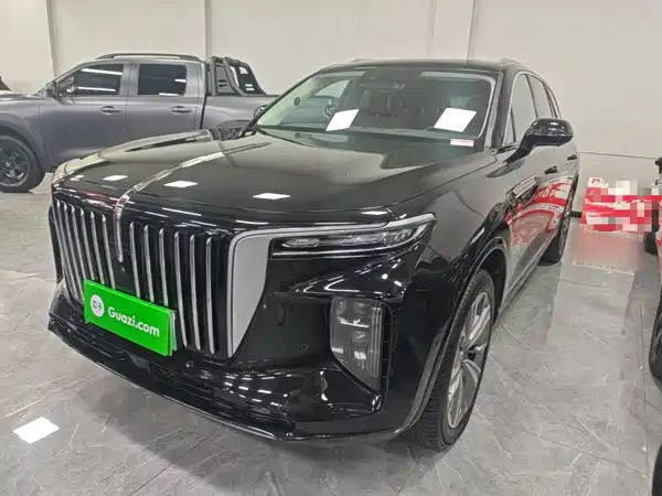 Hongqi E-HS9 2021