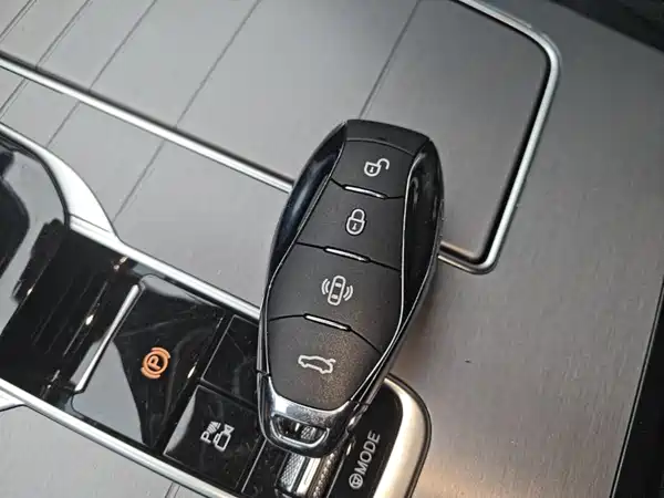 Hongqi HS7 PHEV 2024, фото 9