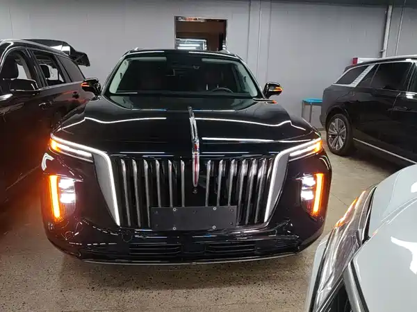 Hongqi E-HS9 2022, фото 3