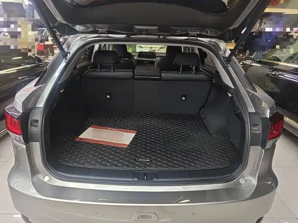 Lexus RX 2020, фото 18