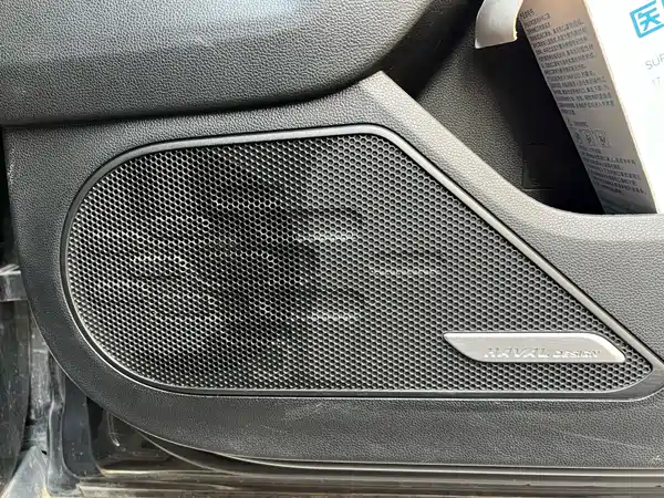Haval Dargo 2021, фото 14